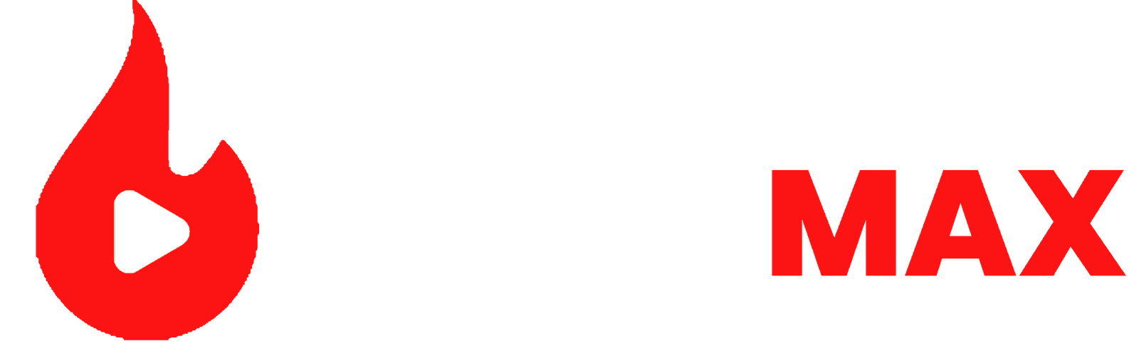 hollamax-pt logo